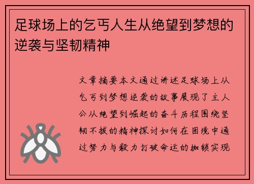 足球场上的乞丐人生从绝望到梦想的逆袭与坚韧精神